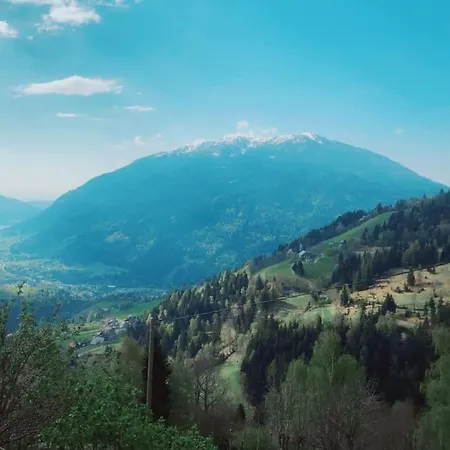 Bauernhof Oberfriessnig 샬레 라덴테인