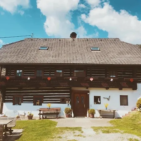 Bauernhof Oberfriessnig