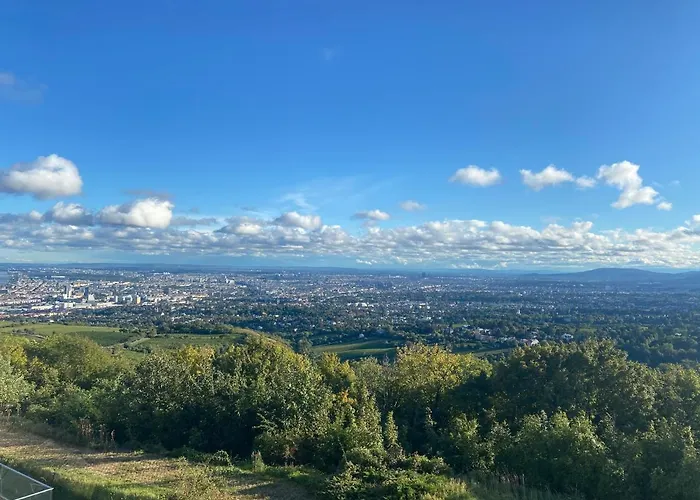 Bauernhof Oberfriessnig Alpehytte